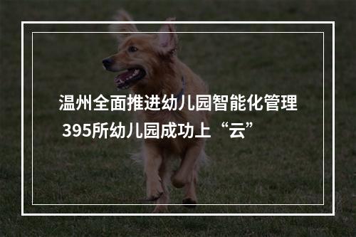 温州全面推进幼儿园智能化管理 395所幼儿园成功上“云”