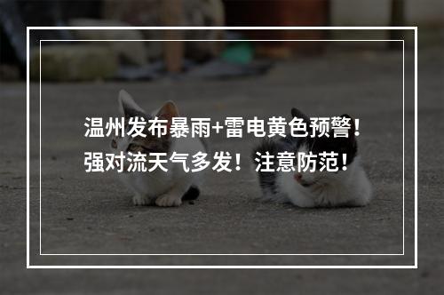 温州发布暴雨+雷电黄色预警！强对流天气多发！注意防范！