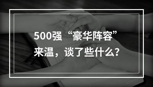 500强“豪华阵容”来温，谈了些什么？