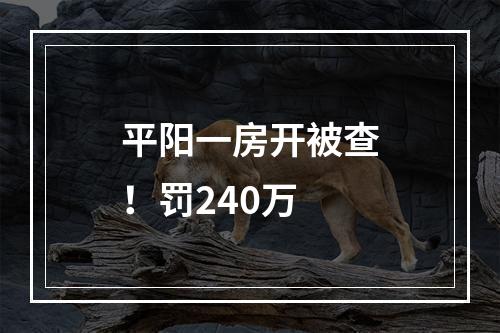 平阳一房开被查！罚240万