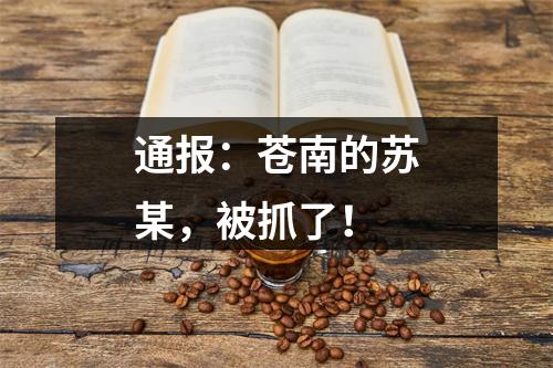 通报：苍南的苏某，被抓了！