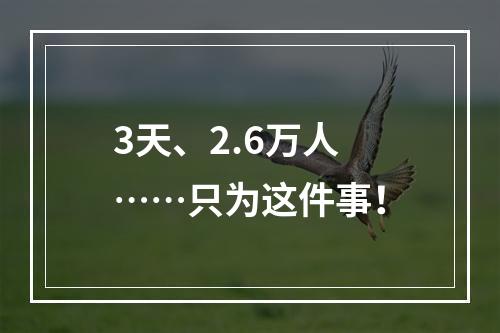 3天、2.6万人……只为这件事！