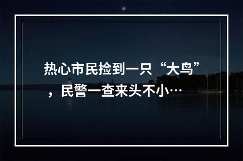 热心市民捡到一只“大鸟” ，民警一查来头不小…