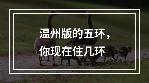 温州版的五环，你现在住几环