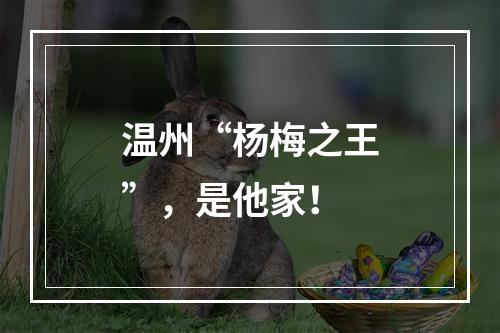 温州“杨梅之王”，是他家！