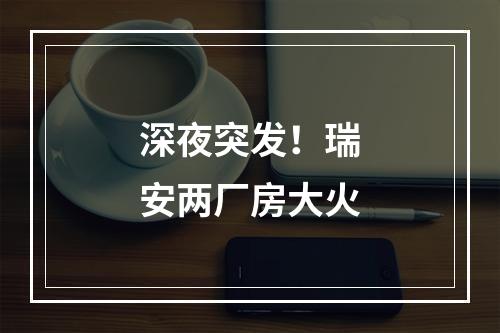 深夜突发！瑞安两厂房大火