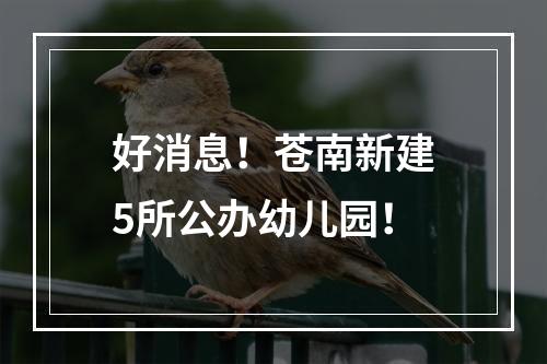 好消息！苍南新建5所公办幼儿园！