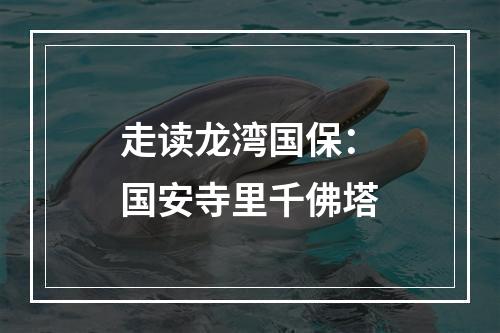 走读龙湾国保：国安寺里千佛塔