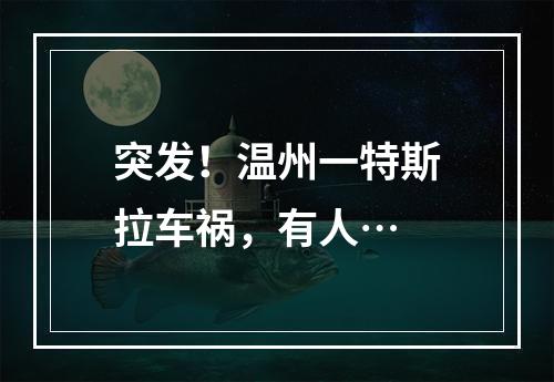 突发！温州一特斯拉车祸，有人…