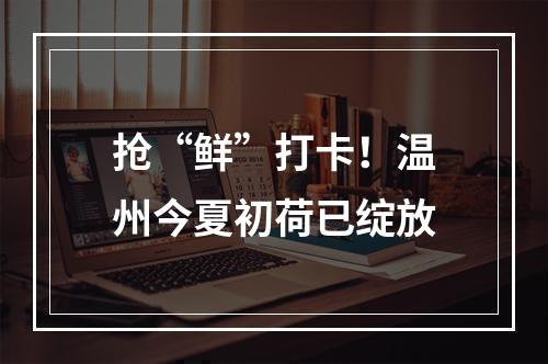 抢“鲜”打卡！温州今夏初荷已绽放