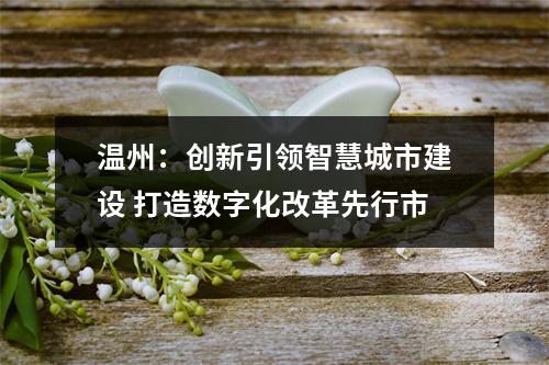 温州：创新引领智慧城市建设 打造数字化改革先行市