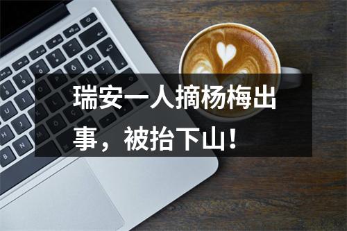 瑞安一人摘杨梅出事，被抬下山！