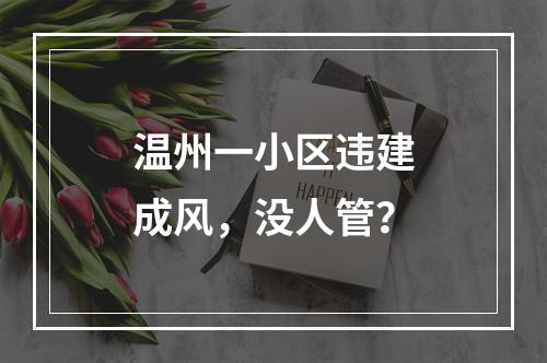 温州一小区违建成风，没人管？