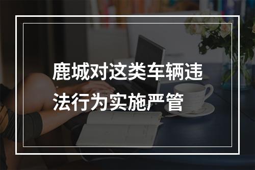 鹿城对这类车辆违法行为实施严管
