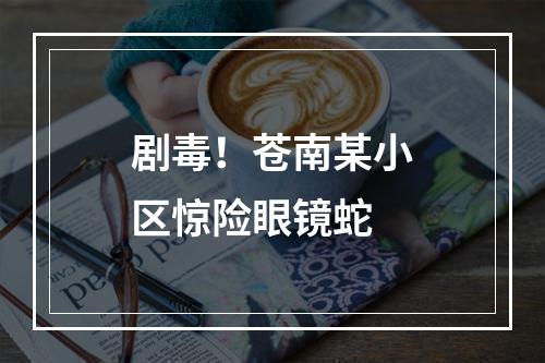 剧毒！苍南某小区惊险眼镜蛇