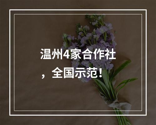 温州4家合作社，全国示范！