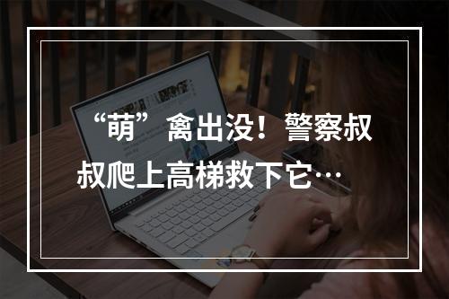 “萌”禽出没！警察叔叔爬上高梯救下它…