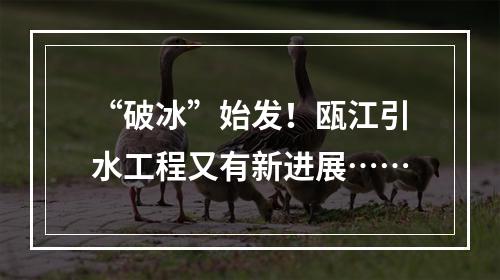 “破冰”始发！瓯江引水工程又有新进展……