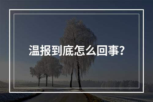 温报到底怎么回事？