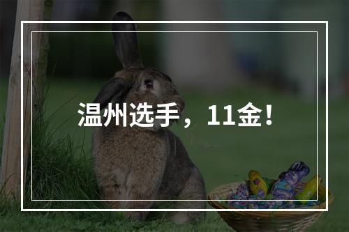 温州选手，11金！