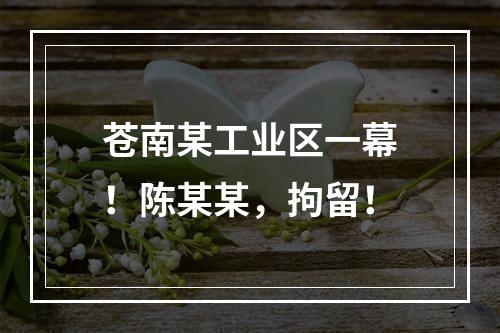 苍南某工业区一幕！陈某某，拘留！