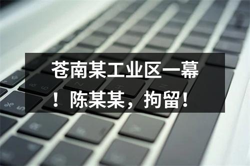 苍南某工业区一幕！陈某某，拘留！