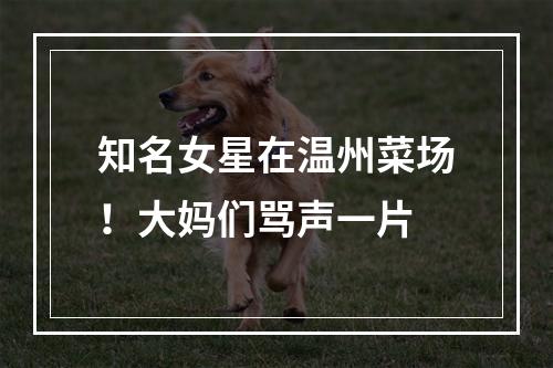 知名女星在温州菜场！大妈们骂声一片