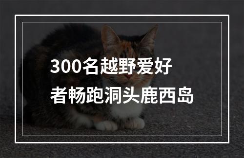 300名越野爱好者畅跑洞头鹿西岛