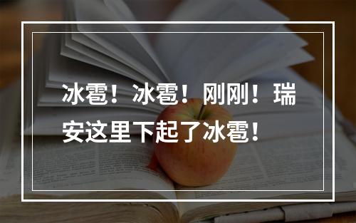 冰雹！冰雹！刚刚！瑞安这里下起了冰雹！