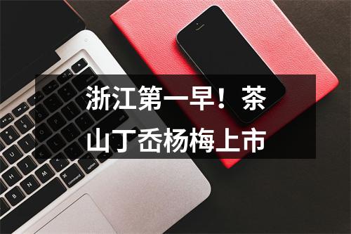 浙江第一早！茶山丁岙杨梅上市