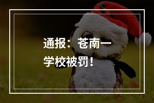 通报：苍南一学校被罚！