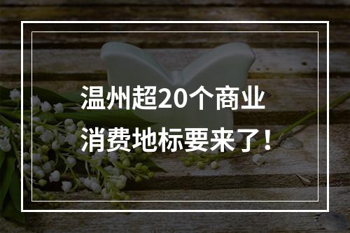 温州超20个商业消费地标要来了！
