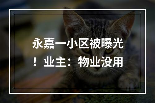 永嘉一小区被曝光！业主：物业没用