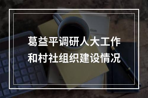 葛益平调研人大工作和村社组织建设情况