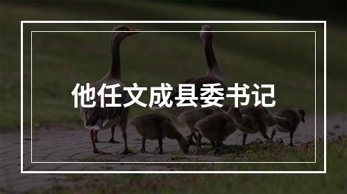 他任文成县委书记