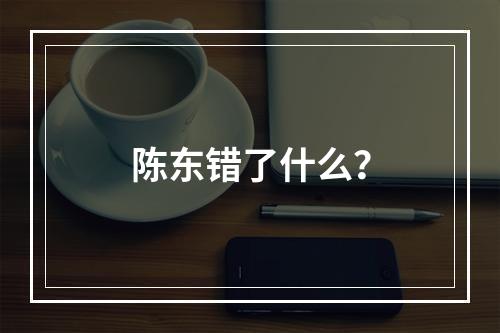 陈东错了什么？