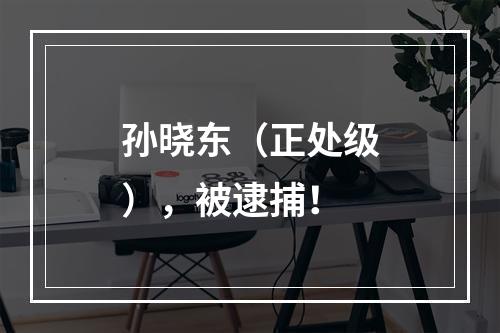 孙晓东（正处级），被逮捕！