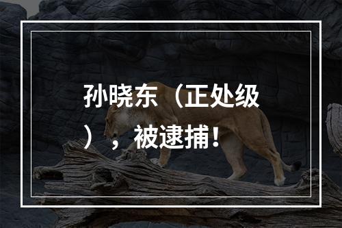 孙晓东（正处级），被逮捕！