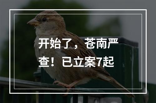 开始了，苍南严查！已立案7起