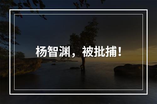 杨智渊，被批捕！