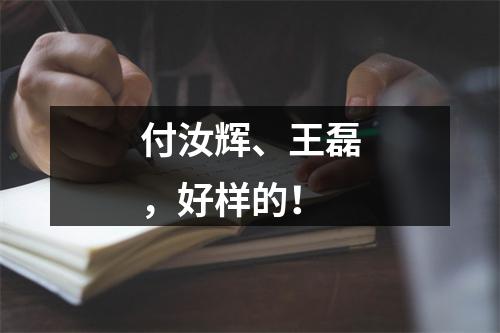 付汝辉、王磊，好样的！
