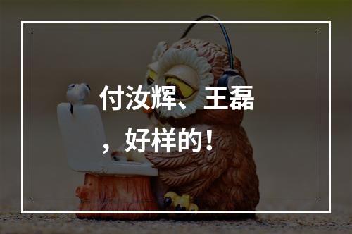 付汝辉、王磊，好样的！