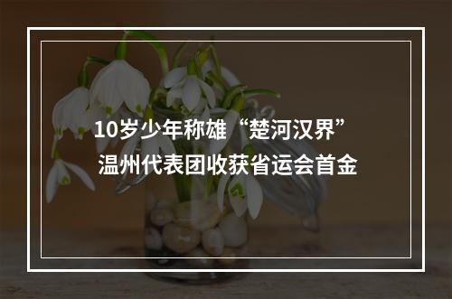 10岁少年称雄“楚河汉界” 温州代表团收获省运会首金