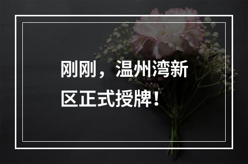 刚刚，温州湾新区正式授牌！