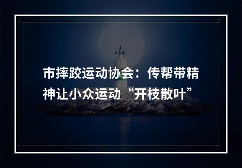 市摔跤运动协会：传帮带精神让小众运动“开枝散叶”