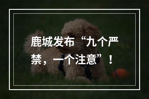 鹿城发布“九个严禁，一个注意”！