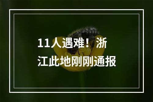 11人遇难！浙江此地刚刚通报