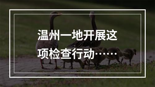 温州一地开展这项检查行动……