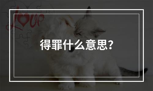 得罪什么意思？