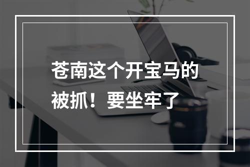 苍南这个开宝马的被抓！要坐牢了